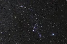 本周四，宝瓶座δ南流星雨来了，适合后半夜观测图片