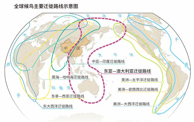 燕子为什么喜欢在人类屋檐下筑巢？燕子来家里搭窝是好是坏？