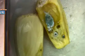 买菠萝蜜发现发霉，退回后老板娘吃了，“我看我能毒死吗”？图片