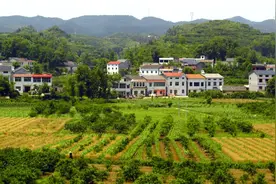 究竟是无证房屋还是违法建设？以下4点帮你弄明白图片