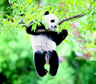 三国番外篇(诸葛亮空城计有四个版本，哪个才是真的)