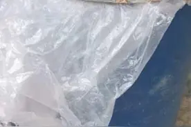 阜阳市颍上县李老板运用发酵中草药养猪尝到了甜头，无非瘟效益高图片