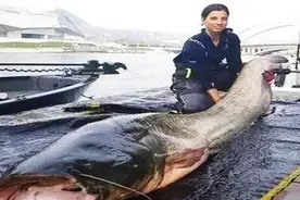 恒河鲶鱼泛滥成灾，体重过百胖如猪，为何自己不吃却想卖给我国？图片