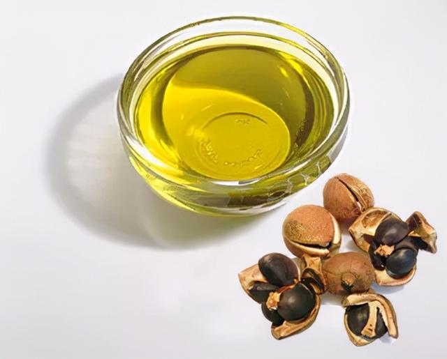 茶籽泡水的功效和副作用（茶籽壳煲水有什么作用湘村里）