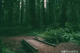 农村老人常说：没有虫鸣的深山，不要只身前往！到底是在怕什么？图片