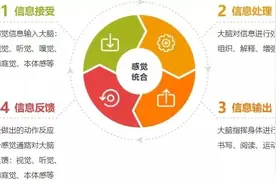被央视点名的“感统失调”正在祸害我们的孩子？当心被割韭菜图片