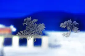 安徽外甥找辽宁大舅，失联二十余年，大舅好友云牵线图片