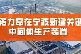 化工巨头加码中国市场：宁波生产基地扩大产能，布局高分子材料图片