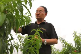 奚若故里扶贫人——大荔县仓溪村第一书记陈省利图片