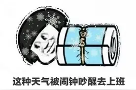 表情包I这天气被闹钟吵醒去上班，和被唢呐吹着送上路有什么区别图片