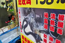 被眼镜蛇咬过的鸡肉美味？其中有何玄机？从科学角度揭示其中奥秘图片