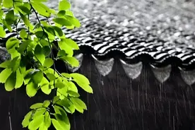 梅雨季节是什么时候？要注意什么？图片
