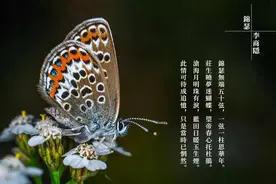 破读锦瑟无端五十弦：千年来李商隐最难解的诗作！图片