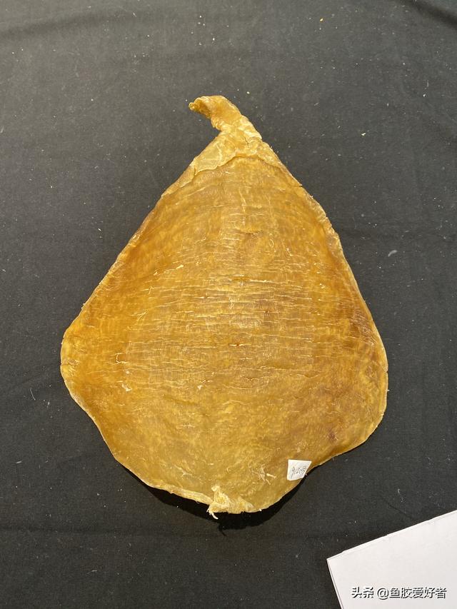 斗湖鱼胶图片大全 2025年斗湖鱼胶的功效和作用