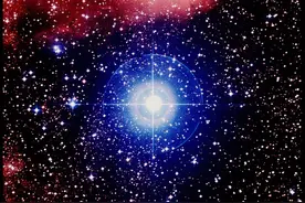 小说：收集物资，发现一个囤积着几十万吨大米的仓库图片