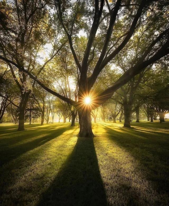 100幅顶级摄影师的获奖摄影