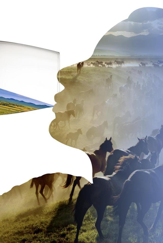 中蕴骏酒发酵马奶酒问世 掀健康饮酒市场新风尚