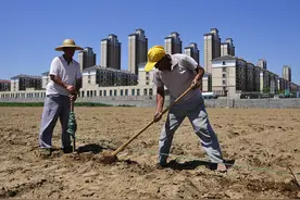 农民朋友量地用尺子太落后，有一个很简单的方法，有智能手机就行图片