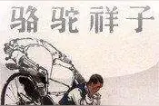 《骆驼祥子》图片