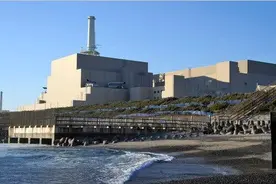 日本废弃核电站混凝土变硬，超原来3倍，切开发现一种罕见物质图片
