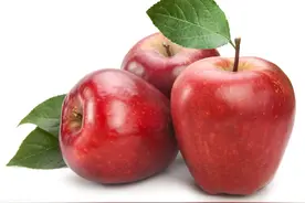 苹果三兄弟的故事图片