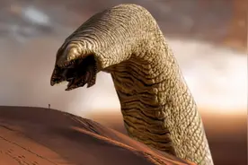 深海里真的有“怪兽”？潜水员发现十几米长巨型怪虫，太可怕了图片