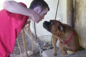 狗狗有“男性恐惧症”，甚至咬男性家人！为什么狗狗会害怕男人？图片