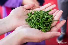 它产地的人将茶叶咀嚼吃下，它受到港澳台喜爱的茶，它叫什么呢？图片