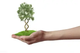 10岁女童身高已165厘米，专家评论：这习惯不错，值得家长借鉴图片