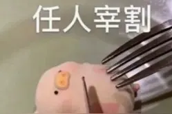 lulu猪表情包 | 打扮打扮，帅哥都是我的图片