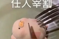 lulu猪表情包 | 打扮打扮，帅哥都是我的图片