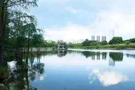 龙岗最佳赏月地点、时间公布！图片