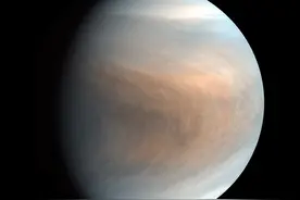 NASA：465℃的金星上发现生命，我有点慌，必须得去看一看图片