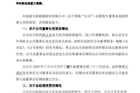 东旭蓝天董事长频繁变更、高管集体辞职 深交所：原因呢？图片