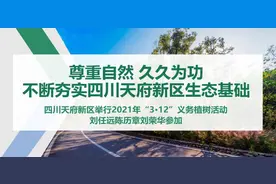 新区森林面积达143.8平方公里，等于20140个标准足球场！图片