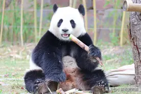 小香妞最爱的暖暖，从小当公主养的白富美任性小公主图片