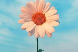 一段感情真正的结束了，不是删除，不是拉黑，而是一点图片