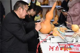 息县：农家“葫芦娃”变身工艺画（组图）图片