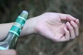 有蚊虫养这2种草，蚊虫不敢靠近，被咬了涂一涂就止痒图片