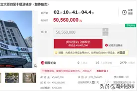 湖州两大宗不动产一拍流拍，鼎立大厦、南浔南方大酒店即将二拍图片