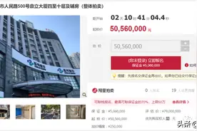湖州两大宗不动产一拍流拍，鼎立大厦、南浔南方大酒店即将二拍图片
