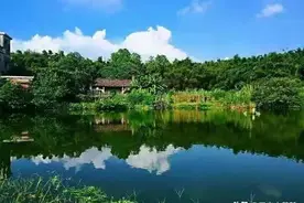 农村俗语“宁让门前见方塘，莫在坟头种三树”，啥意思？图片