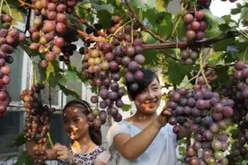 农村院子铺上混凝土到了夏天很热，用什么方法可以“降温”呢？图片