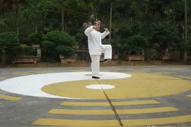 问道浑圆子------记武学大师王安平先生图片