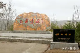 【同心奔小康】全媒采访走进龙山镇见闻（四）：四大举措助推“文化兴镇”图片