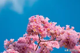 你的身边出现这些情况，那人不是在帮你，正是在欺骗你图片