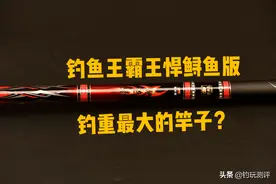 钓鱼王霸王悍鲟鱼版，迄今为止测试过钓重最大的竿子图片