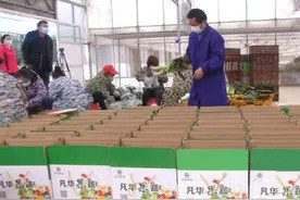 江夏：简流程快审批，金融助力抗疫保供图片