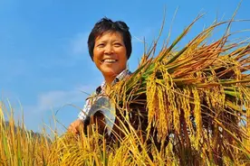 未来10年，中国农民的出路在哪？这3条路，你会选择哪一条？图片