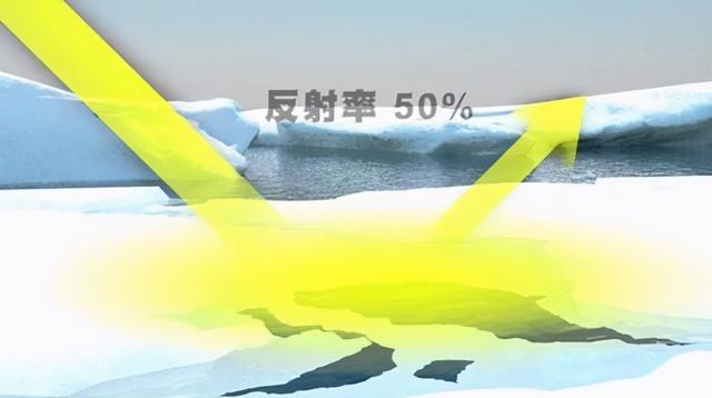 为什么2020年的灾难非常多？背后的原因到底是什么？